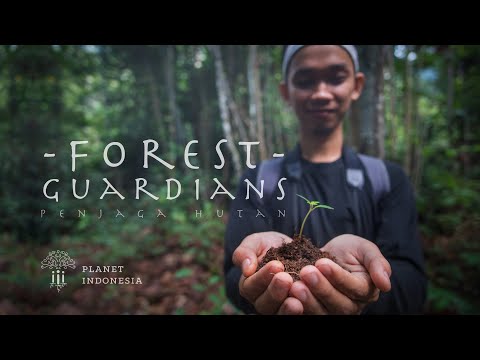 Forest Guardians