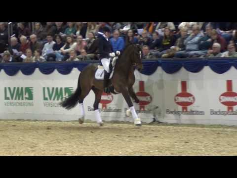 Baccardi K&K CUP 2017 Hengststation Rüscher Konermann