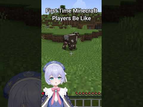 Only First Time Minecraft Players Are Like This-