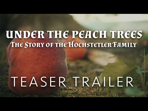 Under the Peach Trees - TEASER TRAILER | Documentary
