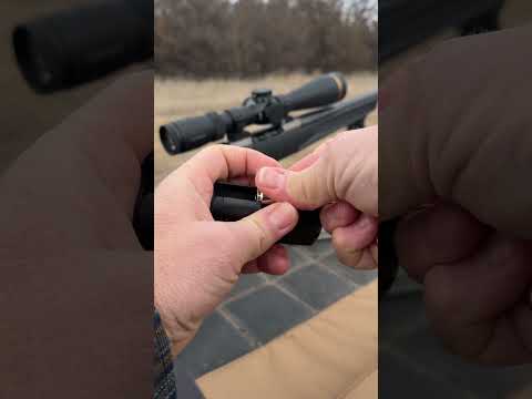 Browning B725 Hunter Eastfield Gunroom review