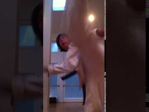 横山和正、拳足コンビネーション,  Shorin-Ryu Kazumasa Yokoyama’s combination training.