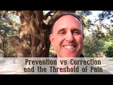 Prevention vs Correction and the Threshold of Pain