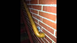 Saying Goodbye to the old Boone High Building