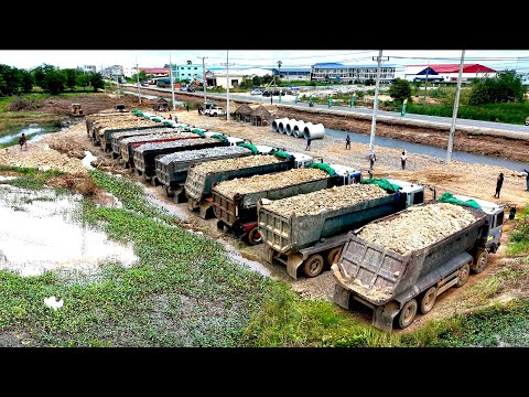 Incredible NEW Location Filling Land Use Komatsu Dozer D53P Pushing & DumpTruck24T Unloading Stone