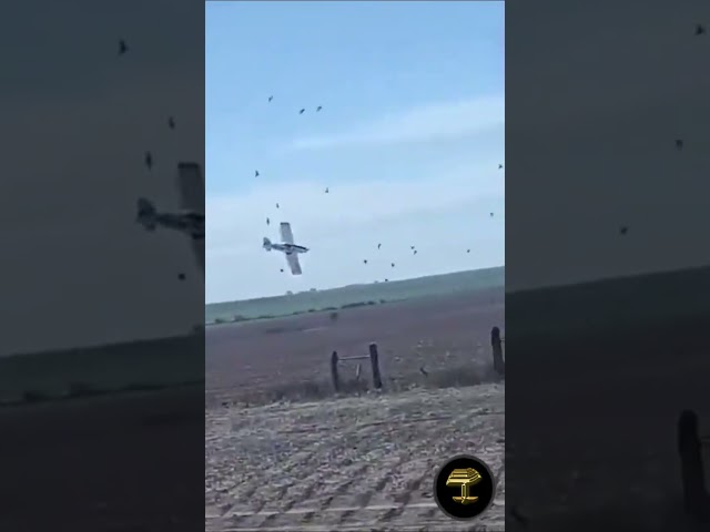 El aterrador instante en que un avión fumigador se desploma en Argentina
