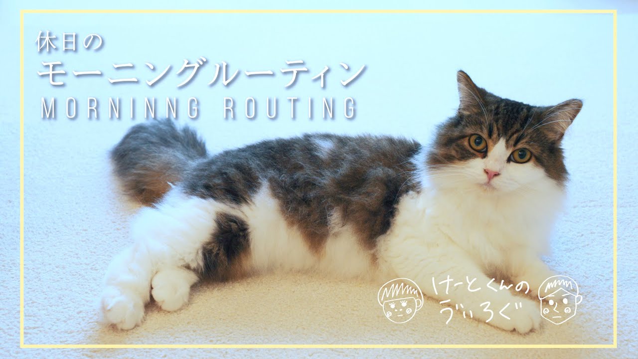猫と夫婦の休日モーニングルーティン