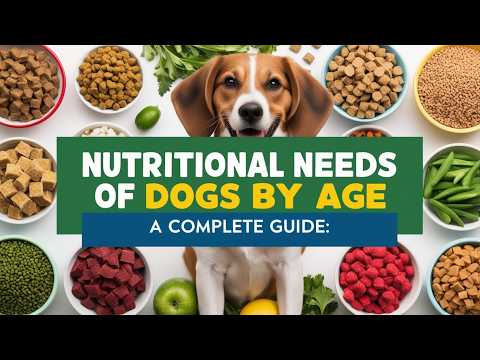 Nutritional Needs of Dogs by Age: A Complete Guide