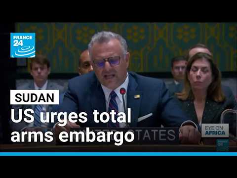 US proposes expanding UN Sudan arms embargo to entire country