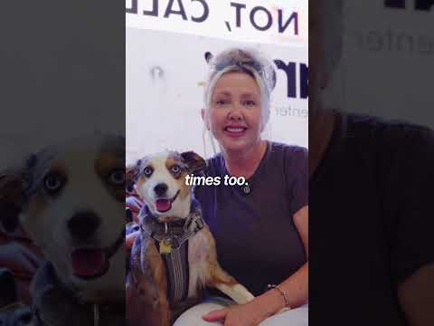 Why Veneers Outperform Whitening Kits and Braces – Permanent Smile Makeovers in Los Algodones, Mexico