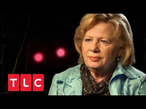 Light phenomenon in the Brieselang Forest | Haunted - Souls Without Peace | TLC Germany