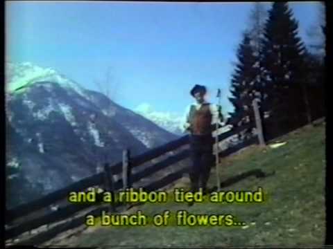 Ans. Miha Dovžana - Zakrivljena Palica