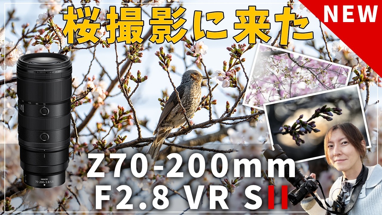 NIKON Z70-200mmf2.8 VR SIIで桜を取りに来た!