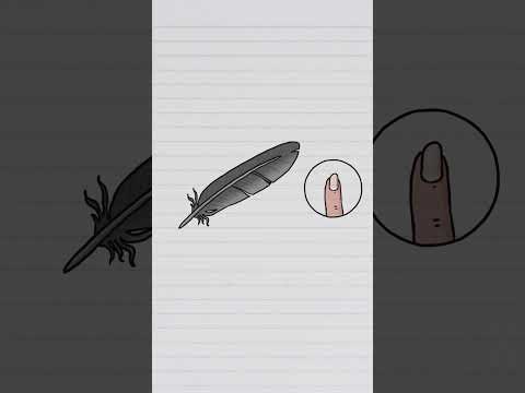 O que a sua unha e as penas dos pássaros têm em comum