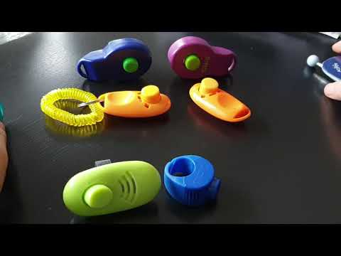 Leise Clicker für Katzen