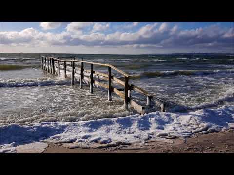 Nicolae Teodoreanu (1962-2018): Viola concerto (1991-1992)