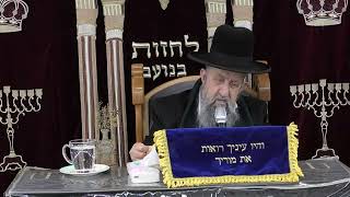 הרב בן ציון מוצפי פרשת כי תשא שלושה דברים הראה השם יתברך למשה רבנו ע＂ה סודאי אדר תשפ＂ו (רבנים שונים) - התמונה מוצגת ישירות מתוך אתר האינטרנט יוטיוב. זכויות היוצרים בתמונה שייכות ליוצרה. קישור קרדיט למקור התוכן נמצא בתוך דף הסרטון