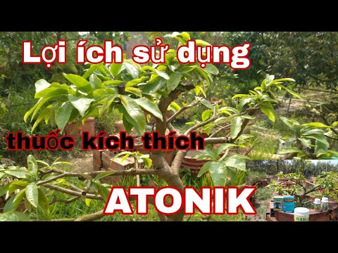 Lợi ích và tác hại của việc sử dụng thuốc kích thích sinh trưởng