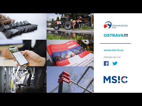 Náhled pro video reference