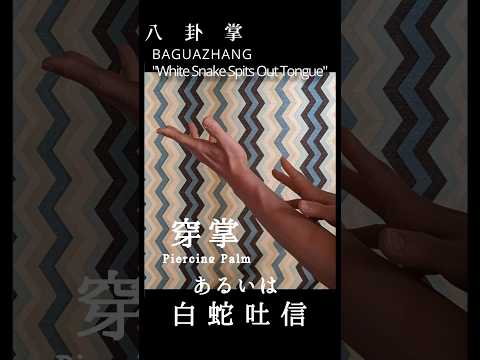 八卦掌 　 穿掌 あるいは 白蛇吐信   Baguazhang Piercing Palm
