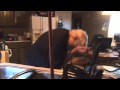 Angry Grandpa HATES His Broken Sink