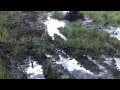 foxford atv rally full skeg smashing action foxford atv rally full skeg smashing action