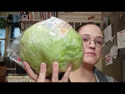 Food Haul-Netto-18,93 Euro