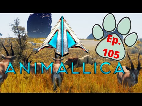 The Beauty Of The Deadly - Animallica: Ep 105