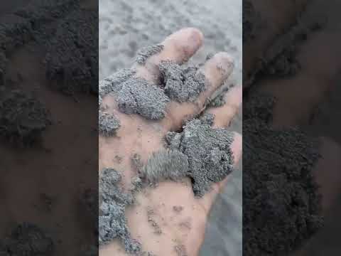 Fly Ash