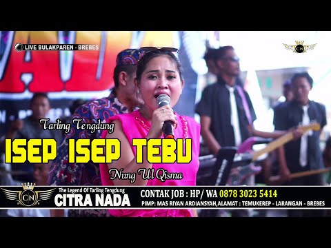 ISEP ISEP TEBU ~ NUNG UL QISMA // CITRA NADA LIVE DESA BULAKPAREN // BULAKAMBA - BREBES