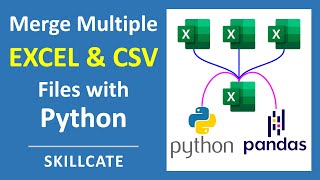 MERGE/COMBINE Multiple Excel Files (.XLSX + .CSV) into One File ⚡️ In 1 Minute ⚡️ With Python