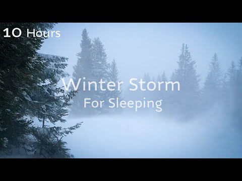 Snowstorm & Wind Sounds for Deep Sleep | NO ADS | Blizzard White Noise ❄🌨
