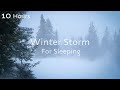 Snowstorm Wind Sounds For Deep Sleep NO ADS Blizzard White Noise