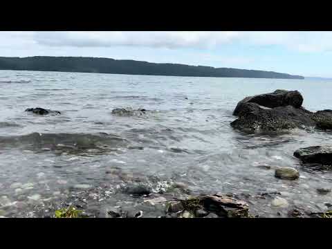 ‎⁨Lilliwaup bay⁩, ⁨Lilliwaup⁩, Washington⁩, ⁨United States⁩ #nature