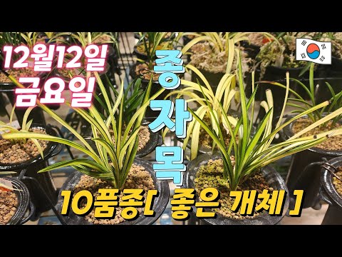 유튜브 썸네일