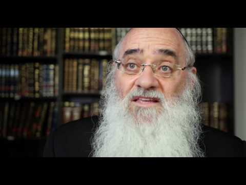 Radashitz Presentation 2017