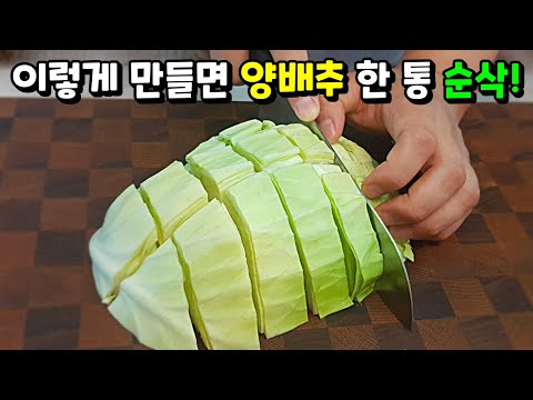 , title : '양배추를 안 먹는 우리 삼촌도 두 접시 먹었습니다. Cabbage'