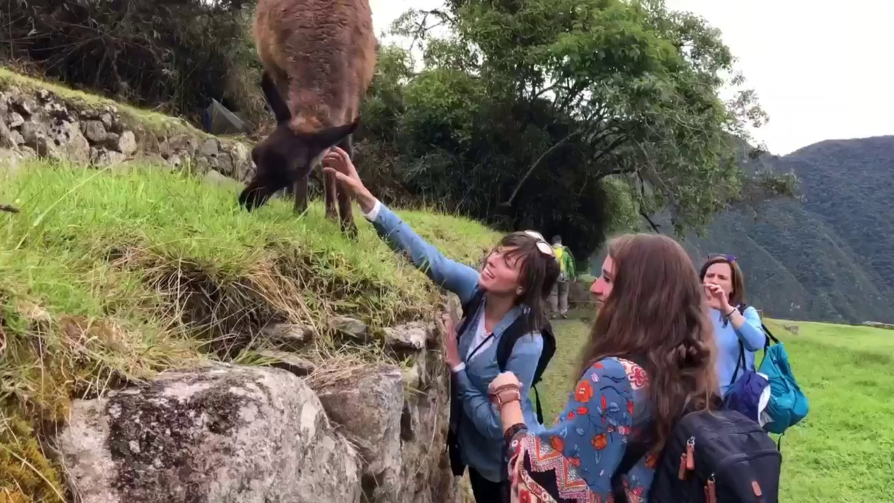 Meet Acanela's Artisans