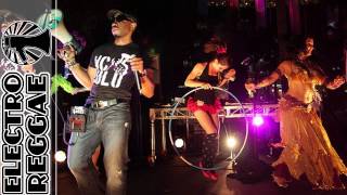 MC ZULU - GoBallistic (Wildlife ReMix)