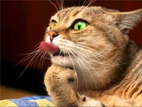 Vadim Shantor - First Time (Original Mix) Full Cut Version