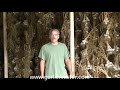 How to Dry Garlic Bulbs