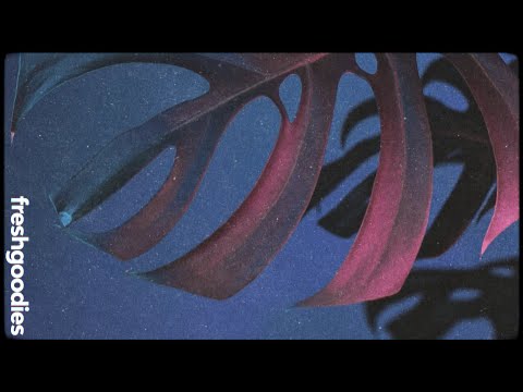 Bogomolove - Neon Garden