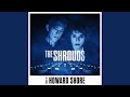 The Shrouds