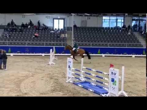 CHADWICK v. Cascadello I zur Sportprüfung in Verden