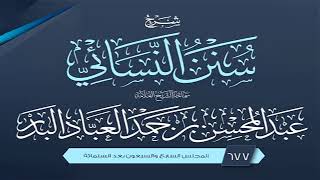 المجلس (677) | شرح سنن النسائي | الشيخ عبد المحسن العباد البدر | #الشيخ_عبدالمحسن_العباد image