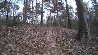 preview picture of video 'Wild Azalea and Kincaid Loop, Kisatchie National Forest'