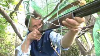 Hay festival: John Lewis-Stempel goes wild about foraged food