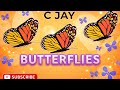 C JAY BUTTERFLIES AUDIO