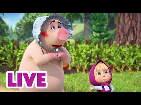 🔴 LIVE! Maşa İle Koca Ayı 🚪 Tak, tak! Kim o? 👀❓ Masha and the Bear