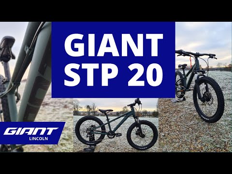 2022 Giant STP 20 | Giant Lincoln